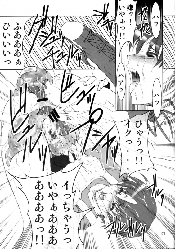 (C78) [Fakestar (Miharu)] FD (Various)_171